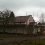 Shingle Roof