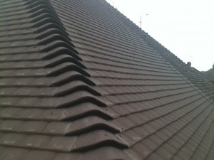 Horsham Renewal
